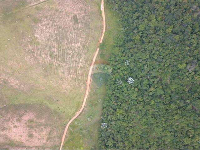 Terreno localizado entre Filgueiras e Coronel Pacheco, ótimo  para criação de gado, ou para loteamento, a 2 km do asfalto.