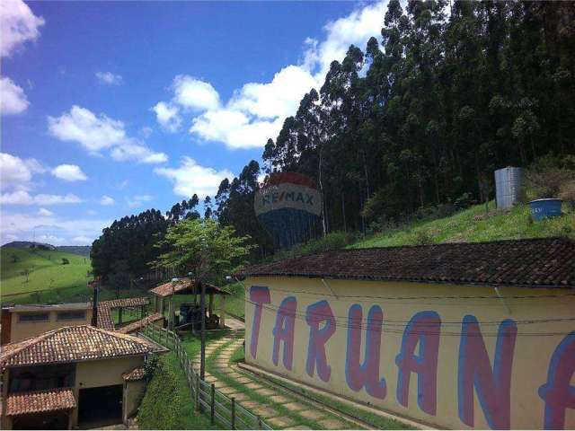 Fazenda São Luiz / Cachaça Taruana - Marca tradicional de cachaça, fazenda, toda e infraestrutura pronta em funcionamento.