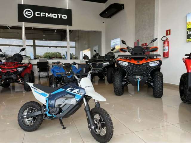 Cfmoto Cforce CX2E