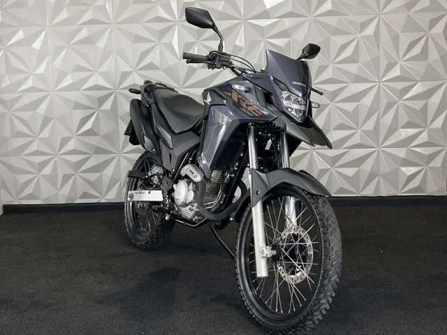 Honda XRE 300 300/ 300 ABS/ FLEX  - Cinza - 2022/2023