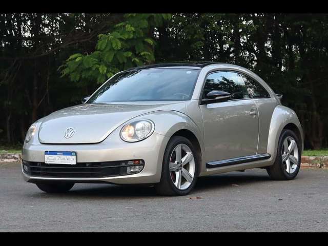 Volkswagen Fusca 2.0 TSI 16V Aut.  - Prata - 2014/2014