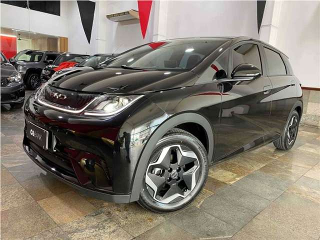 Byd Dolphin 2024 44,9 kw elétrico