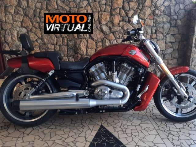 Harley Davidson V Rod Muscle 2013 (oportunidade)