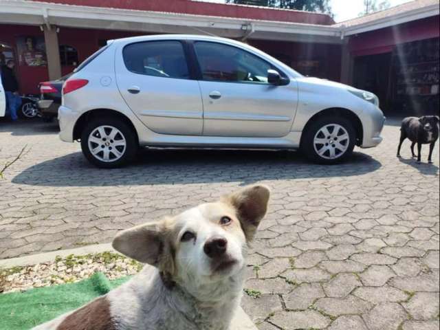 PEUGEOT 207HB XR 2012