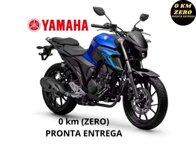 Yamaha Fz25 250 fazer flex 2024