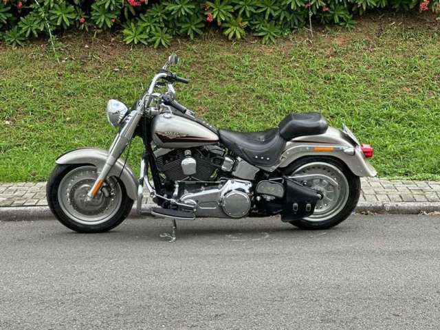 HARLEY-DAVIDSON FAT BOY FLSTF 2009