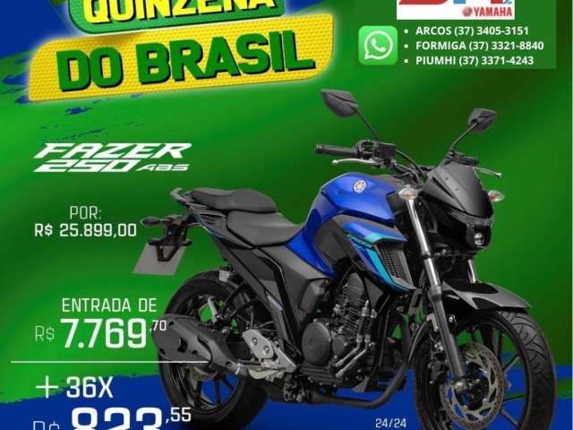 Fazer FZ25!