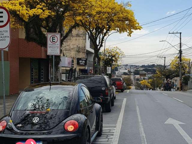 VOLKSWAGEN NEW BEETLE 2006 manual à venda.