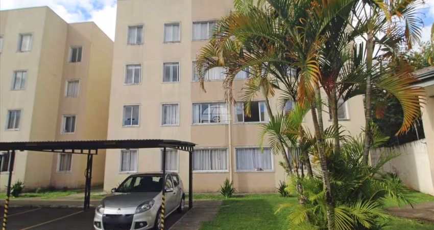 Apartamento com 3 quartos para alugar na Rua Alfredo José Pinto, 1640, Fazendinha, Curitiba