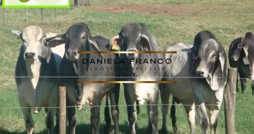 Fazenda à venda na Rural, 030000, Área Rural de Bauru, Bauru