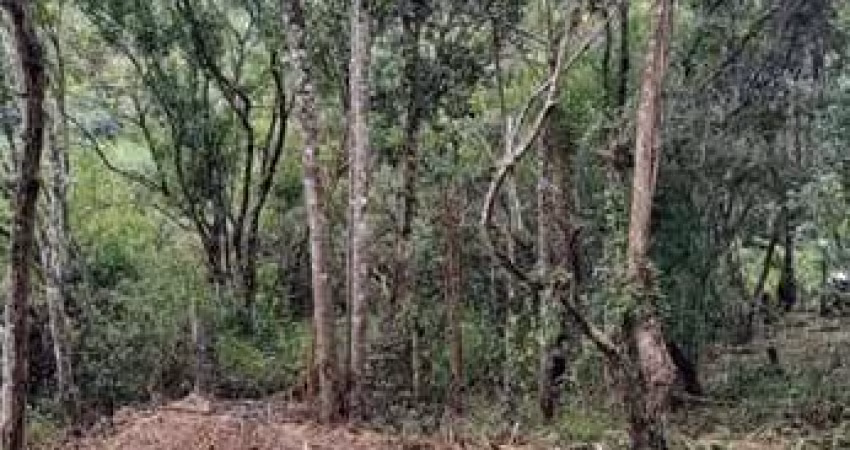 Terreno para Venda em Florianópolis, Vargem Grande