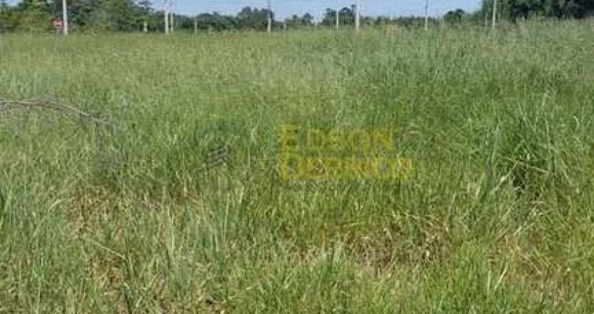 Lote/Terreno à Venda, Novo Morumbi - Pindamonhangaba