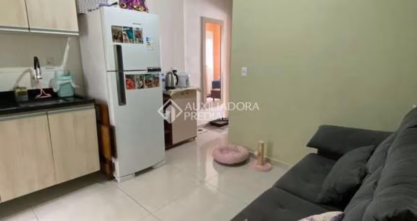 Apartamento com 1 quarto para alugar na Rua Cento e Quarenta e Quatro, 258, Jardim Algarve, Alvorada