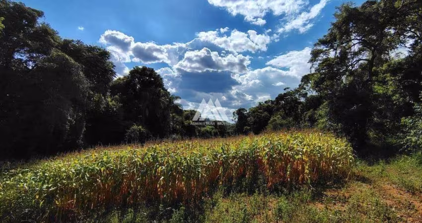 Vendo terreno em Itatiaiuçu de 20.000m² excelente localização.