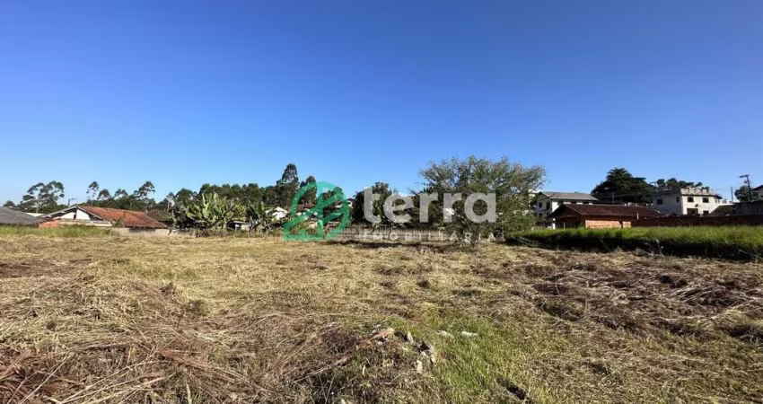 Terreno à venda no Araponguinhas, Timbó 