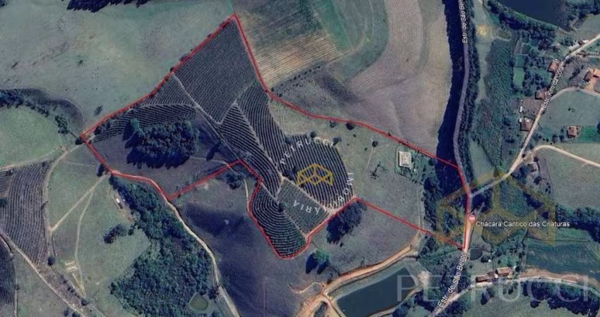 Sítio com 2 dormitórios à venda, 193600 m² por R$ 2.200.000,00 - Bairro Servinho - Ouro Fino/MG