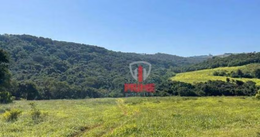 Sítio à venda em Jardim Alegre no Paraná.   - Com 200 alqueires, planta 80 - 50 alqueires de Pasto.