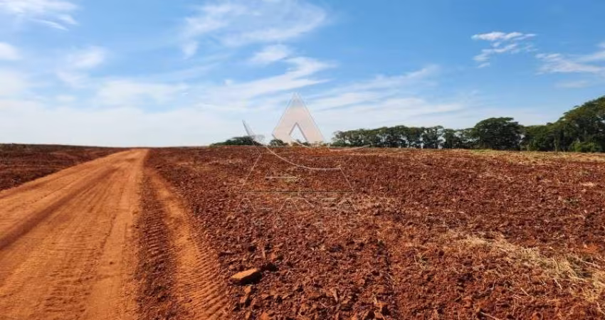 Fazenda  - Ribeirão Bonito  - Zona Rural