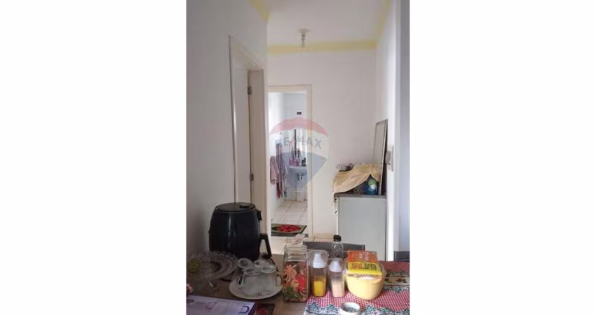Ótimo Apartamento no Jd. Heitor Rigon