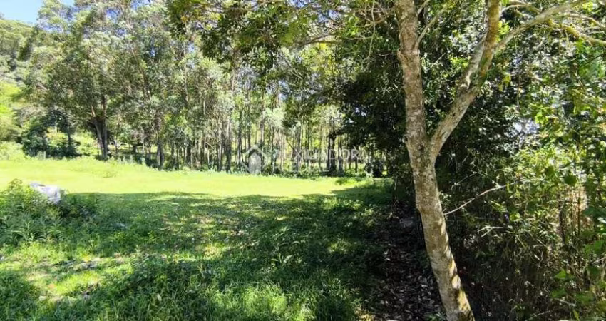 Terreno comercial à venda na Leonildo Peirão, 3, Grama, Garopaba