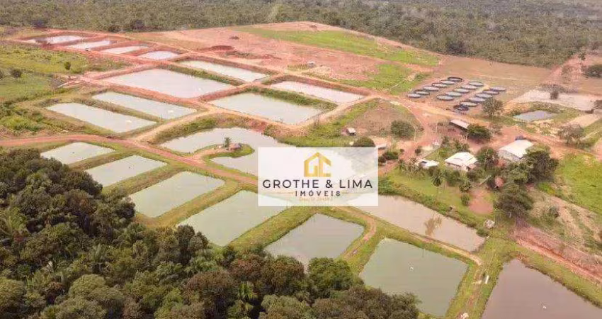 Vendo fazenda mais estruturada da região, 114 alqueires com 75 alqueires abertos,