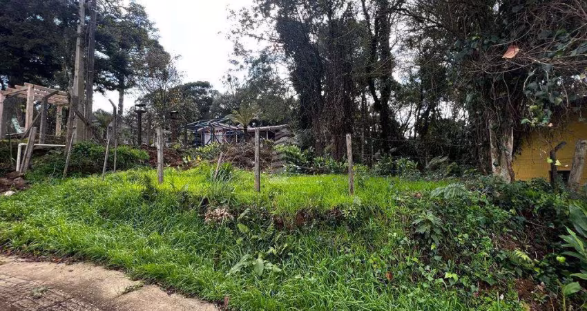 TERRENO PARA INVESTIMENTO, São Jose, Canela - RS