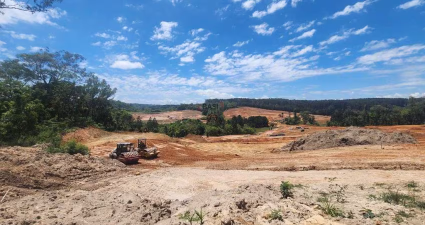 Alphaville Paraná, terreno grande, área verde