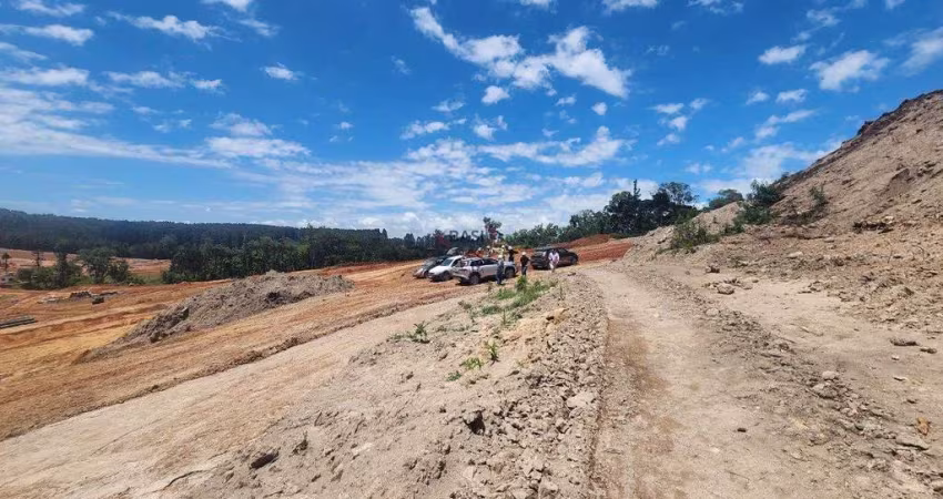 Alphaville Paraná, terreno grande, área verde