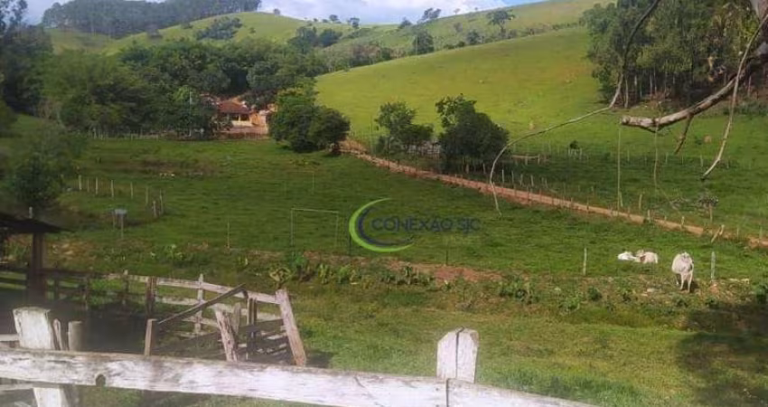 Chácara com 5 dormitórios à venda, 25000 m² por R$ 800.000,00 - Conceicao Dos Ouros - Conceição dos Ouros/MG