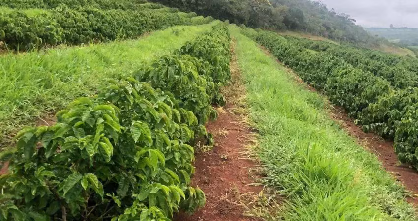 Fazenda com 10 dormitórios à venda, 750200 m² por R$ 13.000.000,00 - Rural - Ibiraci/MG