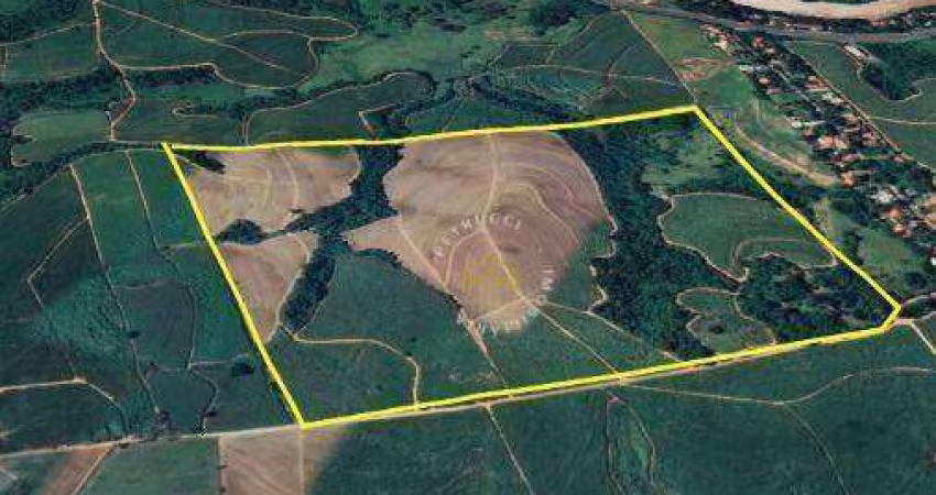 Área à venda, 400000 m² por R$ 24.000.000,00 - Vila Sônia - Piracicaba/SP