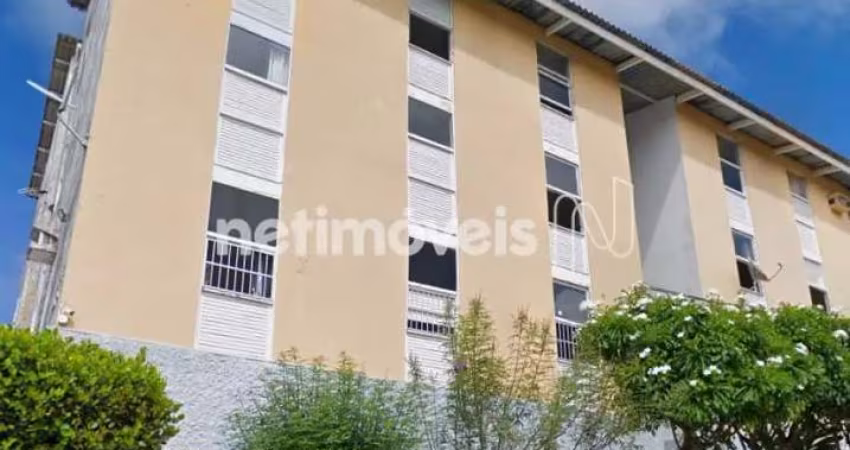Venda Apartamento 3 quartos Jardim Apipema Salvador