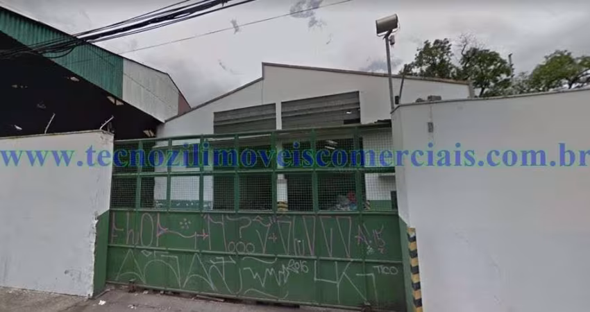 Galpão em Bairro do Limão  -  São Paulo