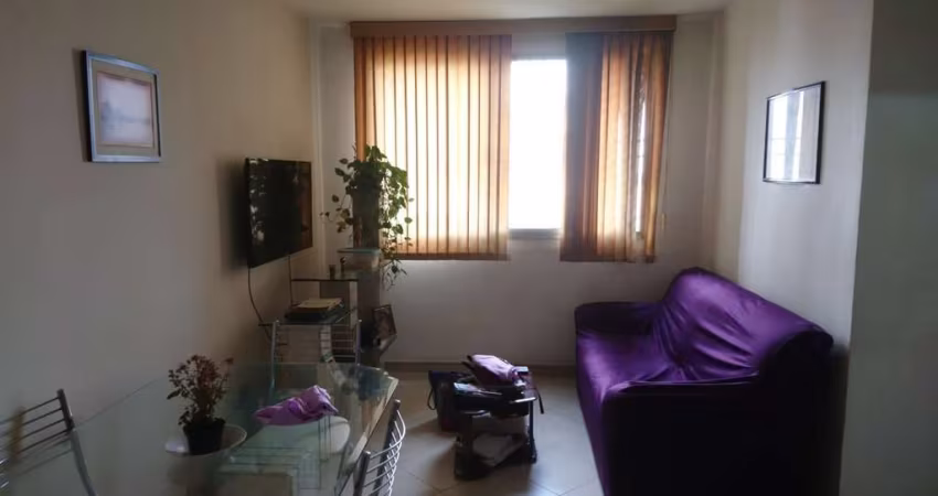 Apartamento Para Vender com 2 quartos no bairro Vila Santa Catarina em São Paulo