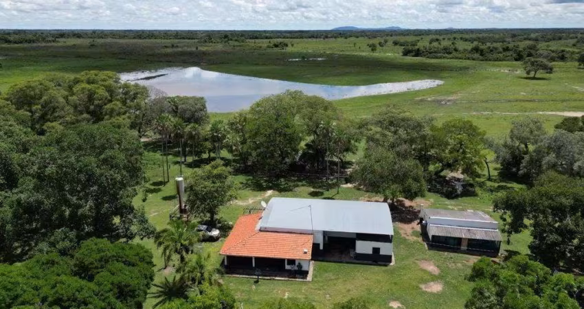 Fazenda em Centro  -  Miranda