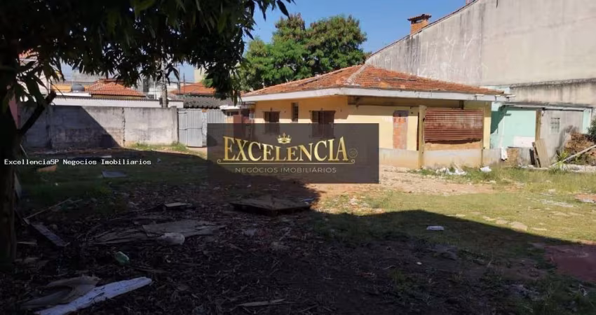 Terreno para Locação em São Paulo, Vila Nilo