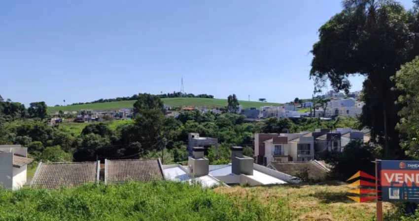 TERRENO PARA VENDA-BAIRRO FRARON-PATO BRANCO-PR- - TE950