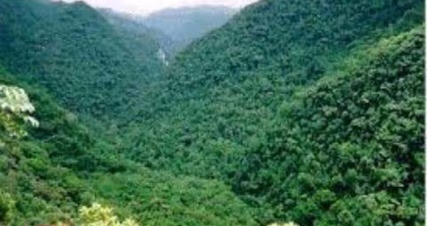 Área Reflorestamento FAZENDA À VENDA DE PARA COMPENSAÇÃO DE  RESERVA LEGAL, NO INTERIOR DE SÃO PAULO
