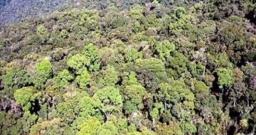 Área Reflorestamento FAZENDA À VENDA DE PARA COMPENSAÇÃO DE  RESERVA LEGAL, NO INTERIOR DE SÃO PAULO