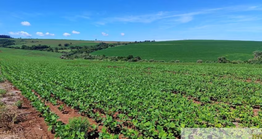 EXCELENTE FAZENDA COM 90 ALQUEIRES A VENDA EM PIRAJU-SP, TOPOGRAFIA PLANA A SEMIPLANA, TERRA ROXA E BOA DE ÁGUA