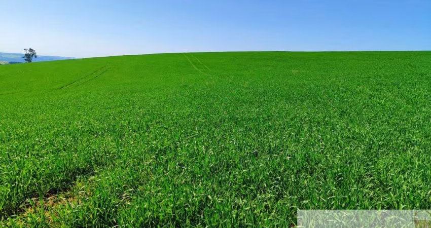 FAZENDA A VENDA EM CAPÃO BONITO/SP, 136 ALQUEIRES NO TOTAL, TERRA MISTA A VERMELHA, AÇUDE, NASCENTES E CACHOEIRA. COM BENFEITORIAS E ÓTIMA LOCALIZAÇÃO