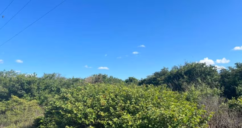 Oportunidade. Fazenda para venda na região de Avelino Lopes-PI com 8.900 hectares, fora do Parque, ideal para reserva e frutas como caju e etc