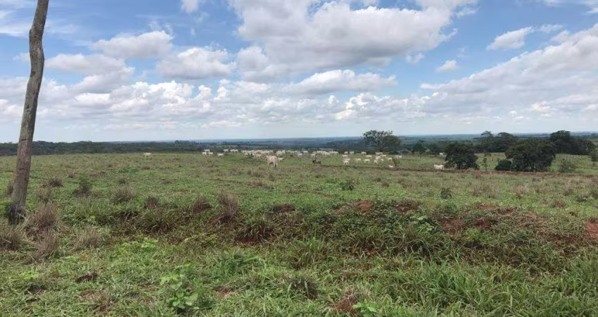 Fazenda para venda na região de Jales-SP com 81 alqueires na pecuária, completa em benfeitorias, rica rem agua