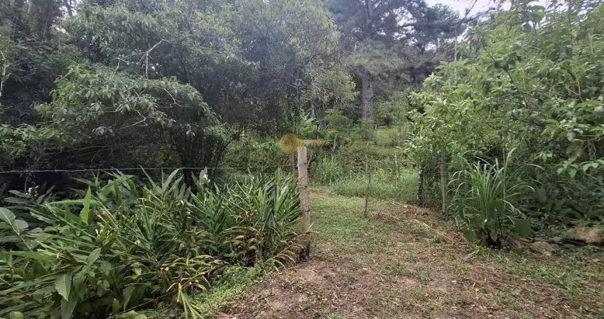 Terreno para Venda em Teresópolis, Córrego das Pedras