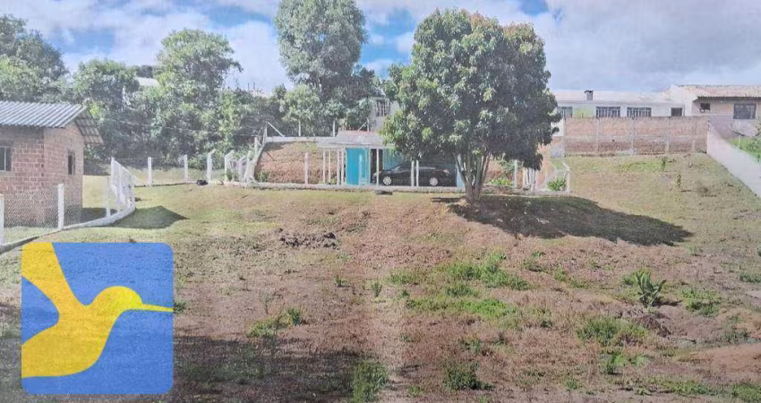 Chácara com 2 dormitórios à venda, 2156 m² por R$ 258.000,00 - Zona Rural - Quitandinha/PR
