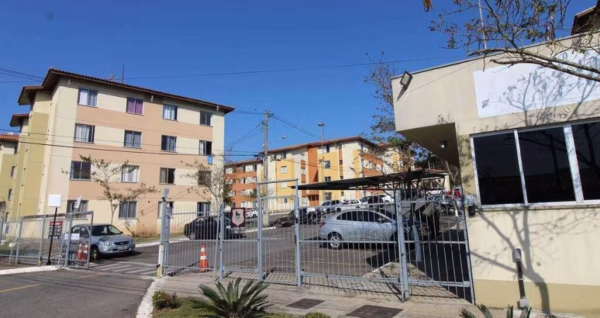 Apartamento com 50m² 2 quartos, para aluguel, no bairro Colônia Rio Grande em São José dos Pinhais