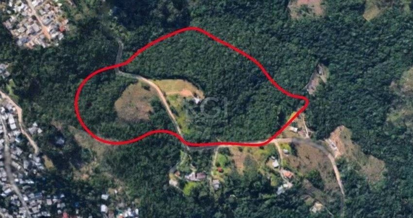 Area para Venda - 0m², 0 dormitórios, Cascata