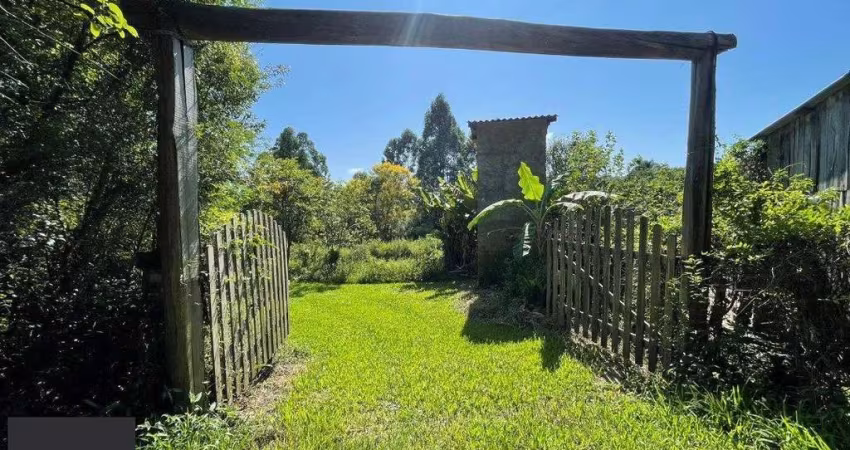 Sítio 1 dormitórios à venda Elsa Viamão/RS