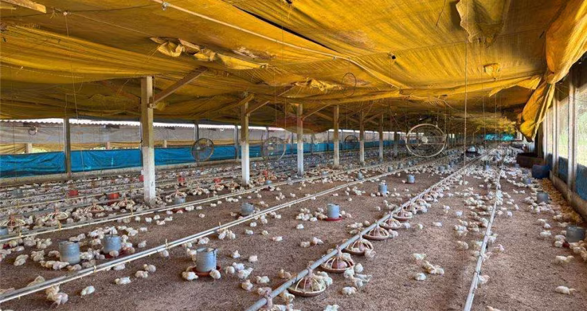 Granja com 3 alqueires bem localizada e em pleno funcionamento de 65.000 aves podendo expandir
