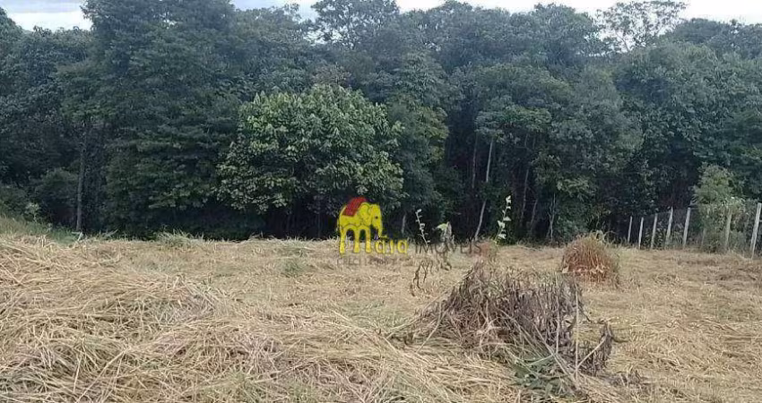 Terreno à venda, 1000 m² por R$ 235.000 - Campo Largo - Jarinu/São Paulo